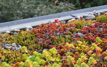 the cost of Kylestrome green roof installation