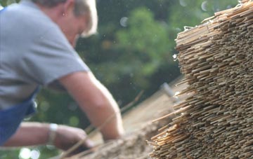 professional Kylestrome thatchers